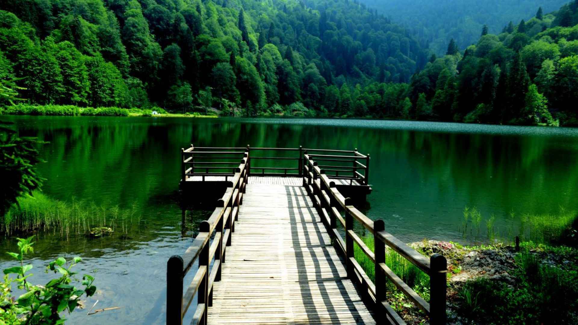 Rize çıkışlı Borçka Karagöl turu 2026 Karadeniz Artvin Karagöl tabiat parkı göl manzarası orman doğa görüntüsü
